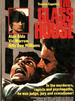 La Casa de Cristal (1972) Español