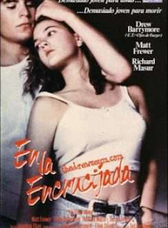 En la Encrucijada (1989) DUAL, Subtítulos