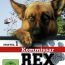 Comisario Rex (Serie TV. Temp 7) (2001) Latino
