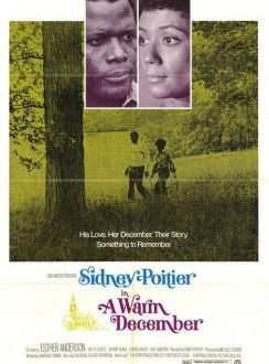 Un cálido diciembre (1973) Español
