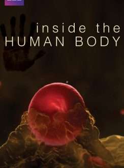 En el interior del cuerpo humano (2011) Español