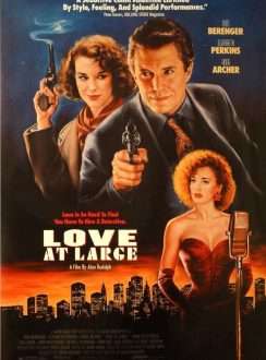 Amor perseguido (1990) Dual, Subtítulos