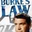 El Agente Burke (Serie de TV Temp. 2) (1964) VOSE