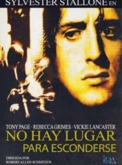 No Hay Lugar Para Esconderse (1973) Español