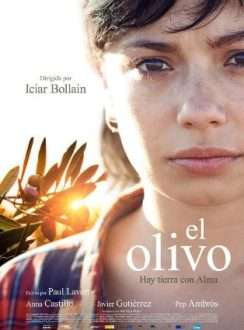 El Olivo (2016) Español 
